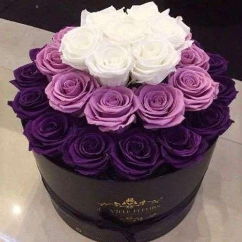 یلدا باشتی قصه عشق