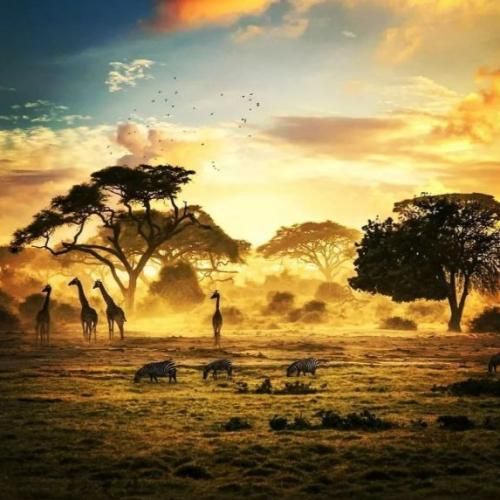 پرویز حسینی یاندیم خدایا رحم اله یوخدور توانم