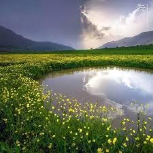 دمت آکالین کیبریت
