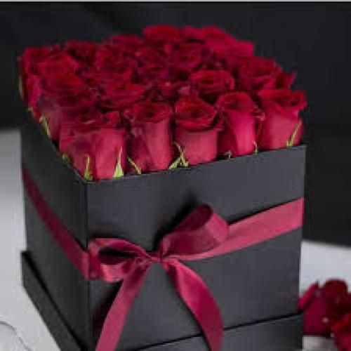 شهریار کریمی سیه روز