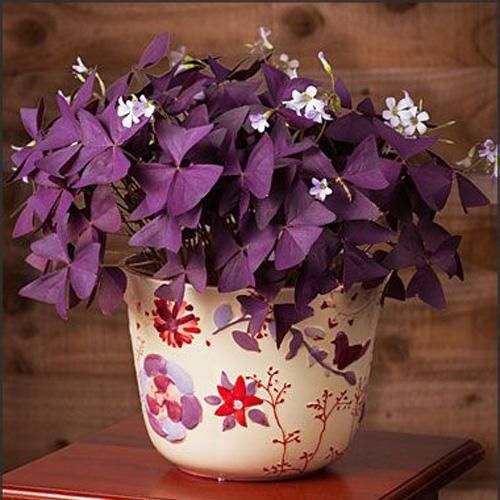 تقصیر من چیه وقتی زندگی می‌کنیم