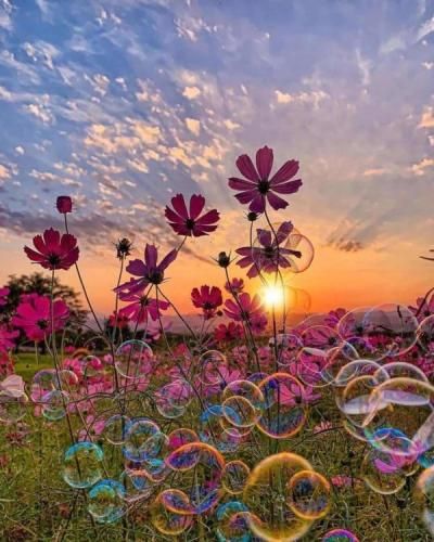 گوکهان اوزن شیمدی آغلاماک گلدیسه
