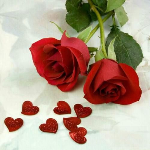 شهریار کریمی غِرِغوس