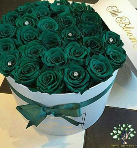  اجرای آهنگ معین توسط راغب در کنسرت نجف آباد