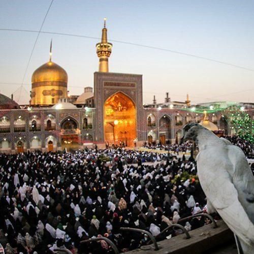 محمد سجاد رفیعی السلام علیک یا ابا عبدالله
