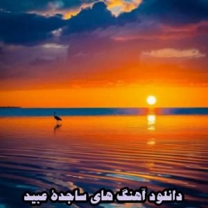 دانلود آهنگ های ساجدة عبید (عربی جدید)