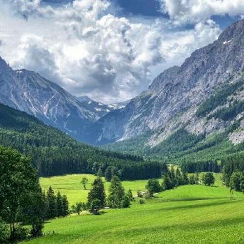 محمدامین کریمی یادگار