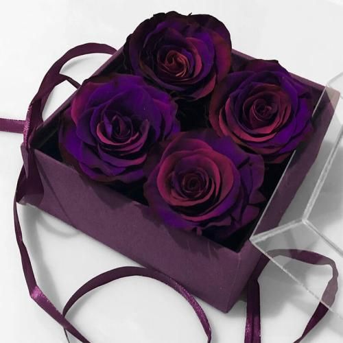 عبدالله عباسی چهار سوار