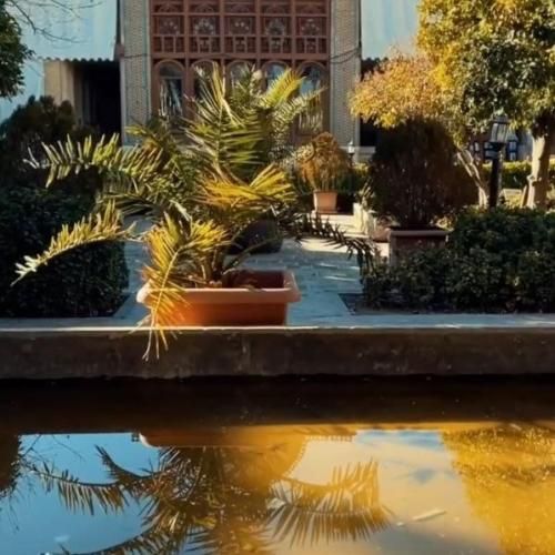 موسی موسوی طاعت استاد