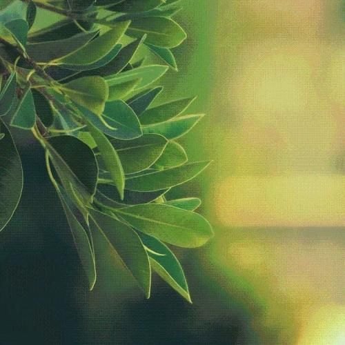 سنگتو به سینه میزنم هنوز نمیزارم کسی بد بگه ازت