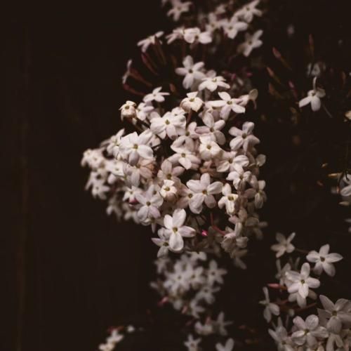  چته که افتادم پیش تو به تته پته