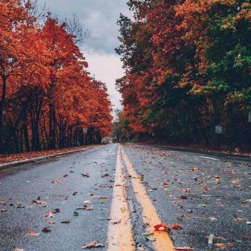 پروانه ها با من همه قهر کردن تا تو بیای