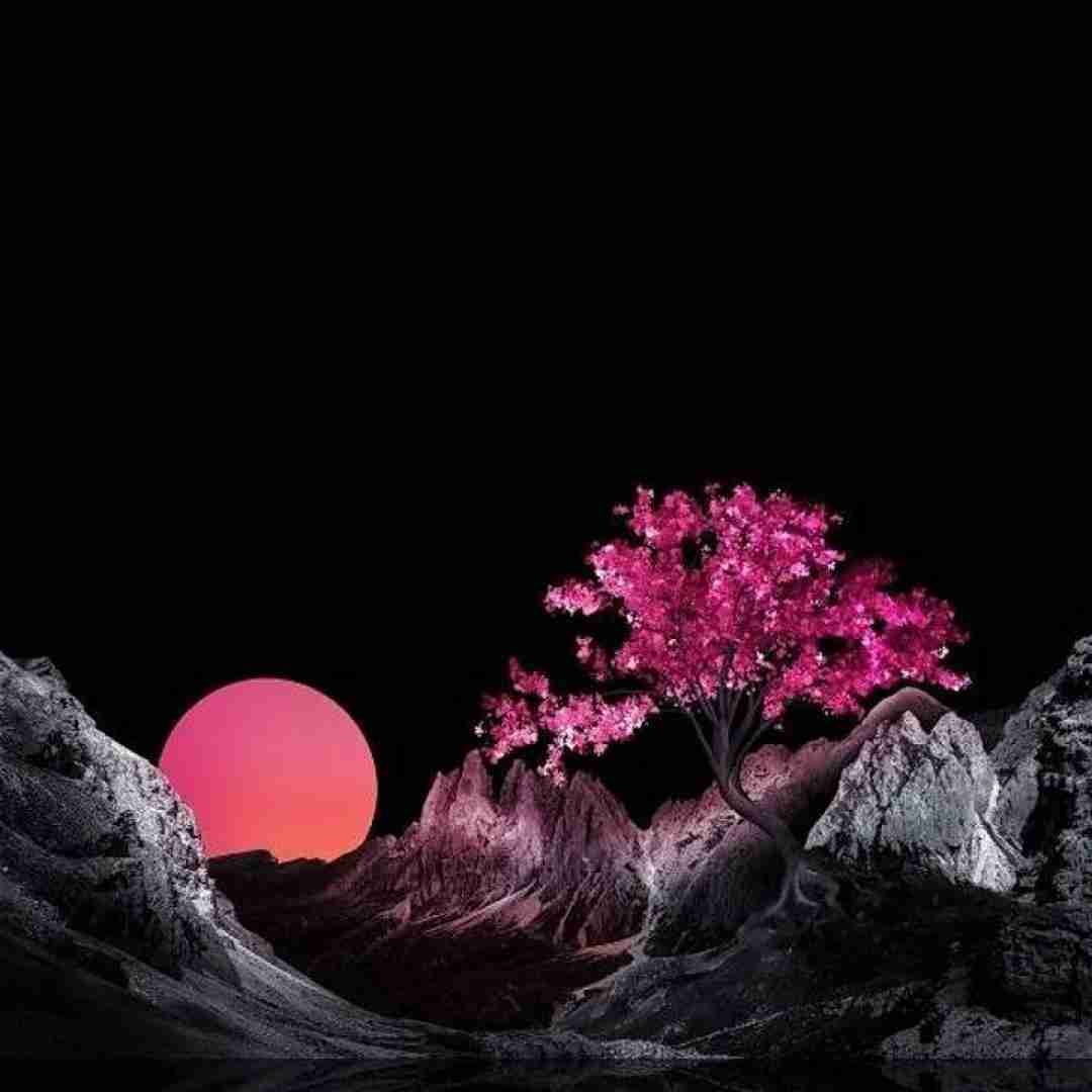  دوست دارم عاطفه خوب باشه حالش
