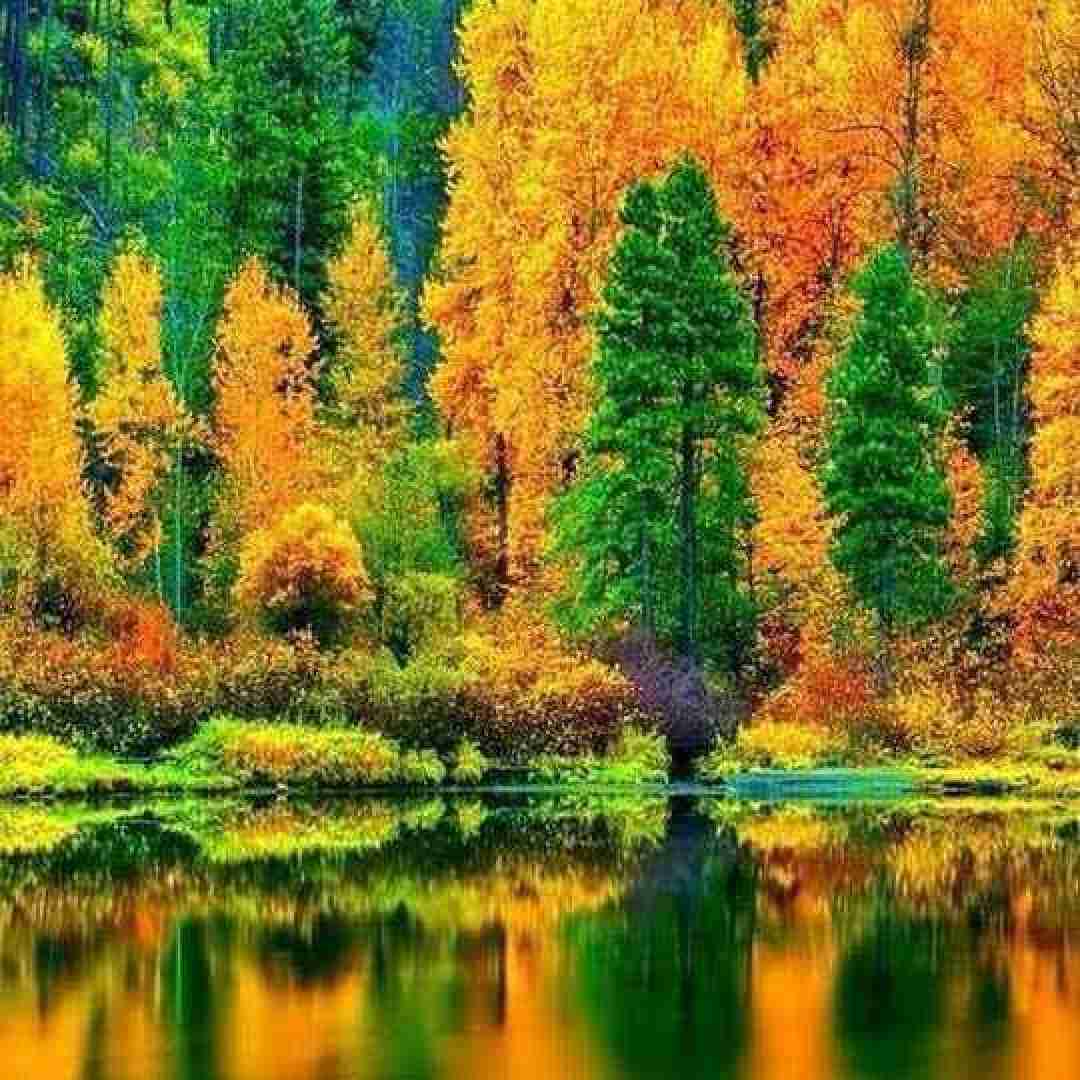 دل دنیا رو خون کردی که اینجوری تو رفتی از شادمهر عقیلی