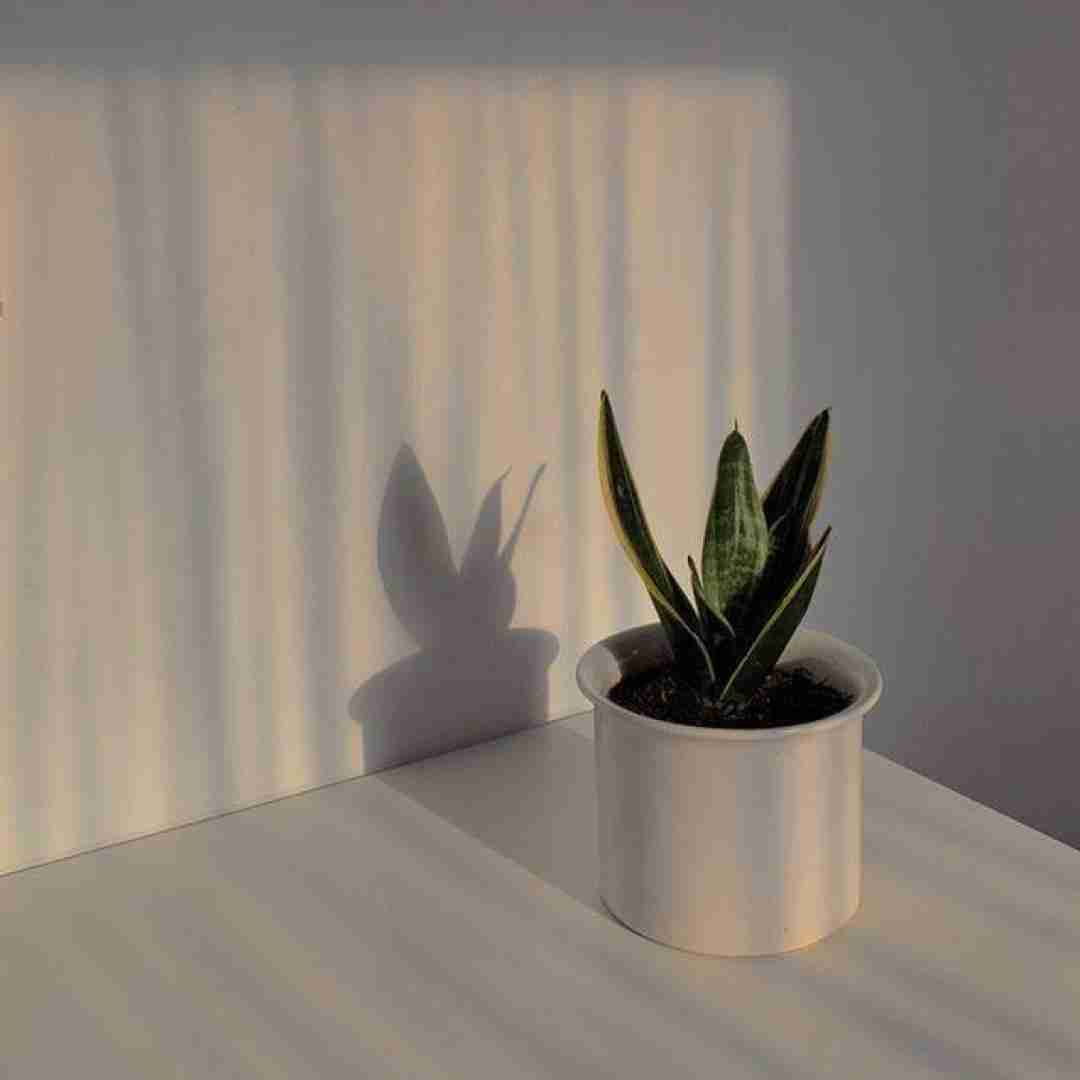 ته سر یک خال موره با صدای بچه