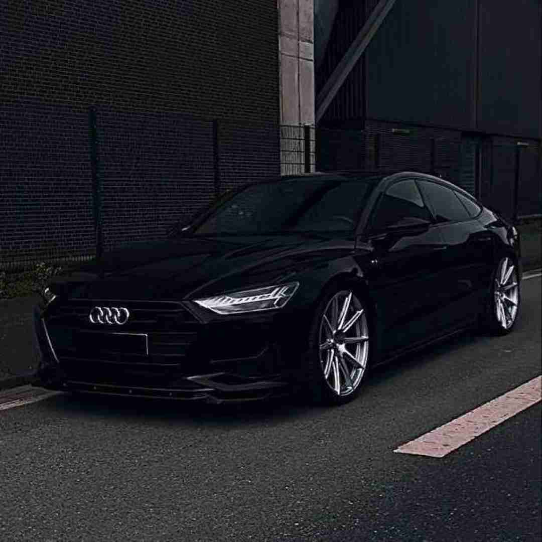 شوکی تاری آگربست