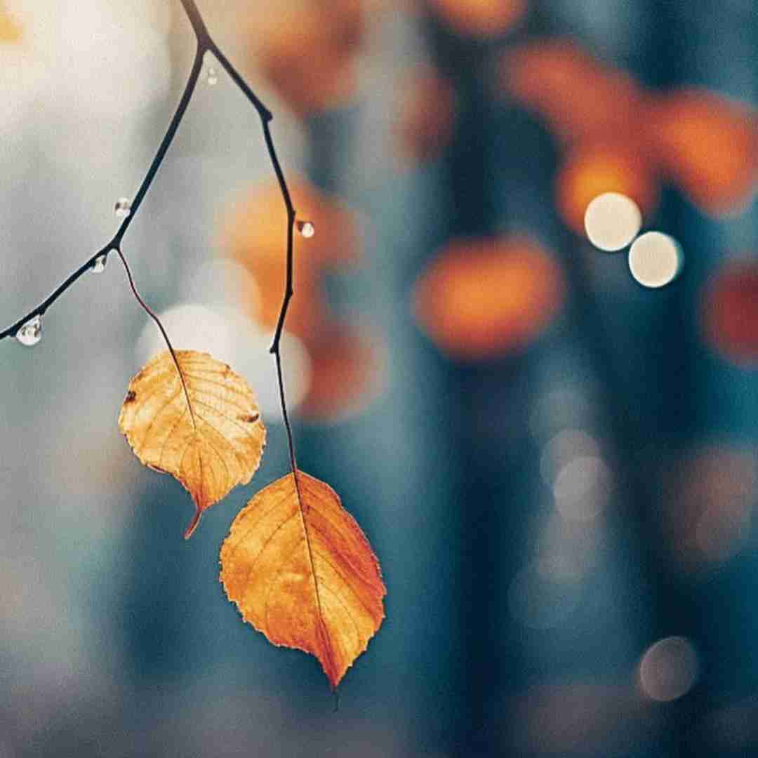 د شی یه روزی میرسه که اره هرشب به کارم میرسم