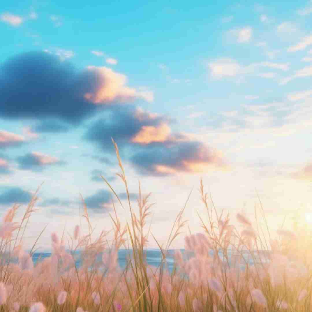 مخبرون به عمتی به عمتی رحم شو نکه