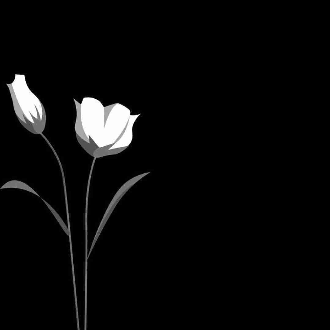 می دل تنگ و تی دل سنگه کسی نشنونه مه ونگه