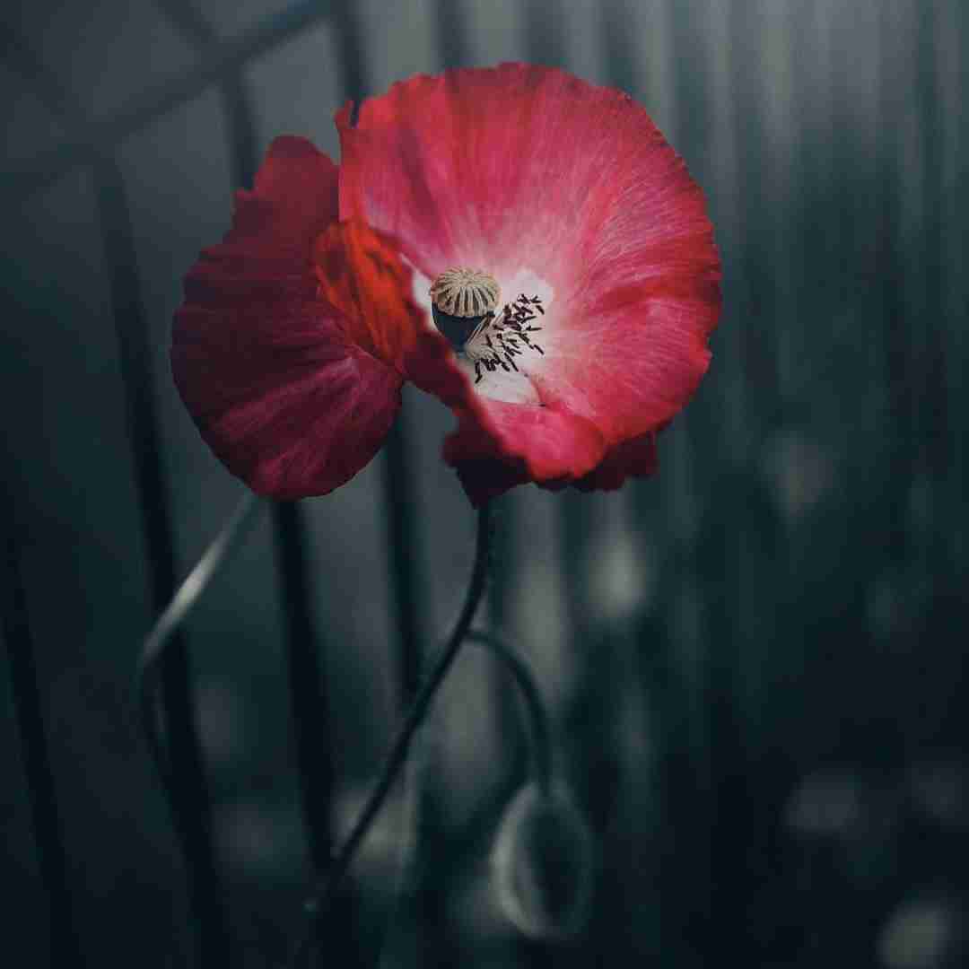  من تورو ساختمت گفتم که اون با منه تو بودی با همه