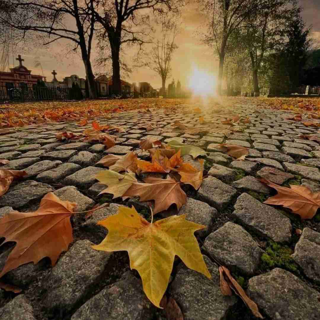 آهای خوشگل عاشق آهای عمر دقایق با صدای دختر اینستایی (نازنین)