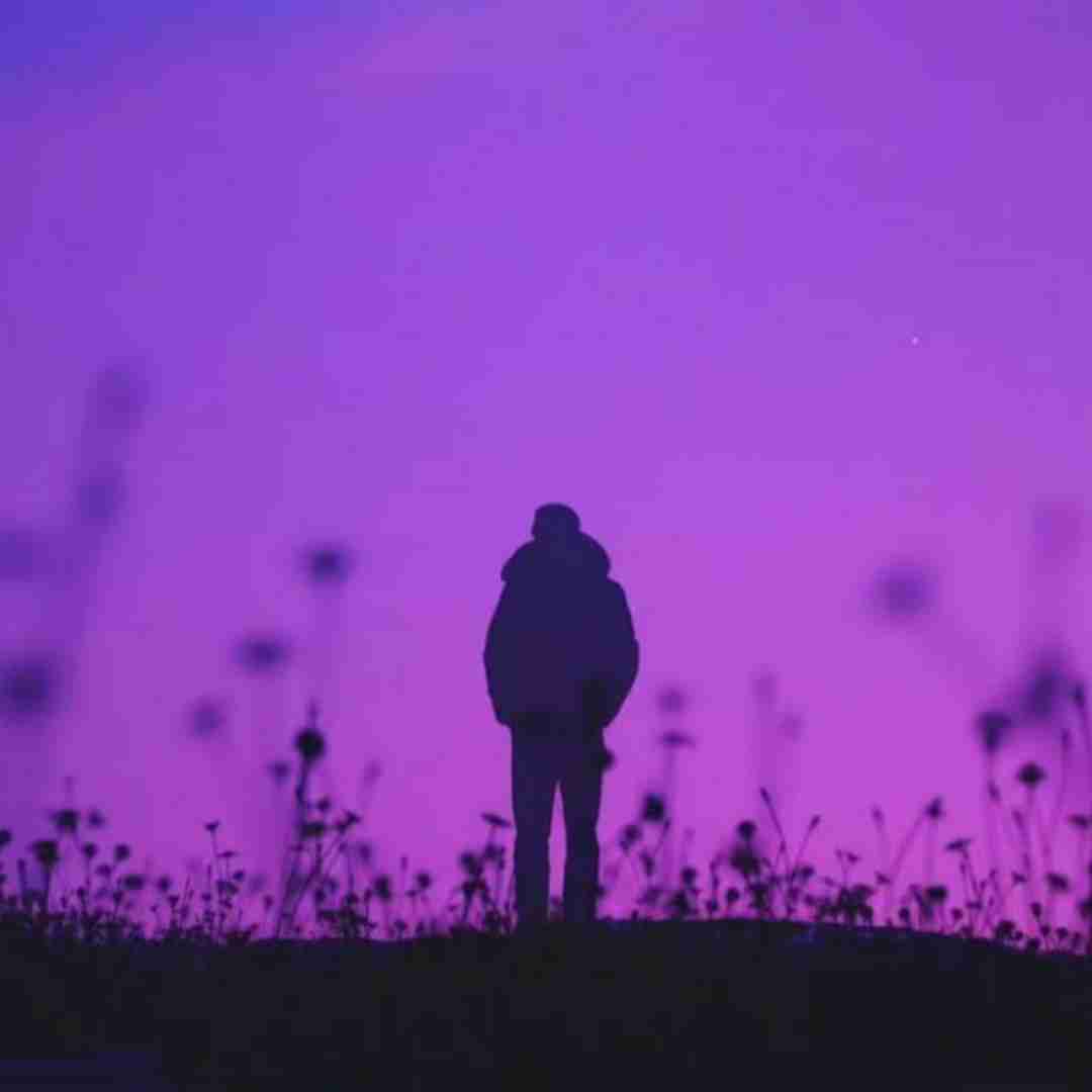 مهرد نمیام سمتت