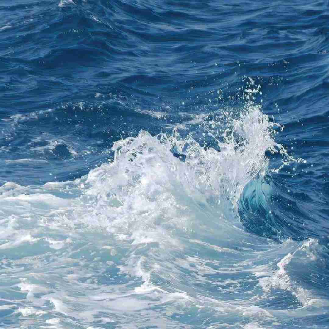  ننده به عزات مینشانم بیهوشم از درد میجوشه تو خونم
