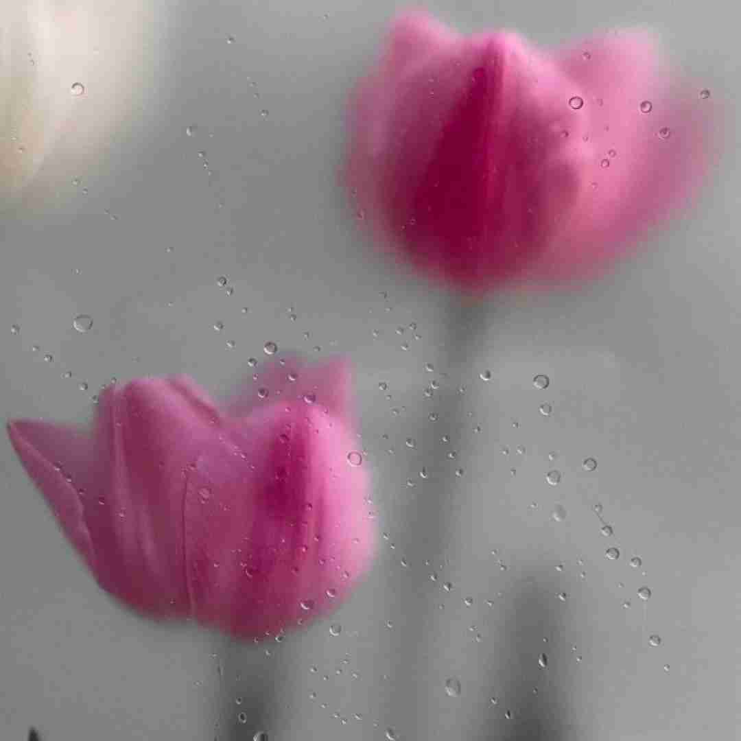 فک میکنم حاجی الان دورش پره تو که عوض نمیشدی هیچوقت