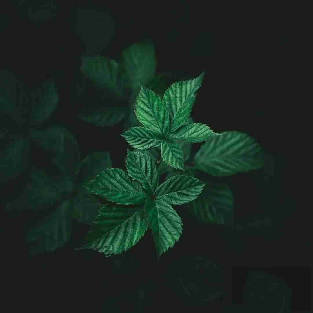  لاشی بازی رو میذارم کنار الان دارم هواتو