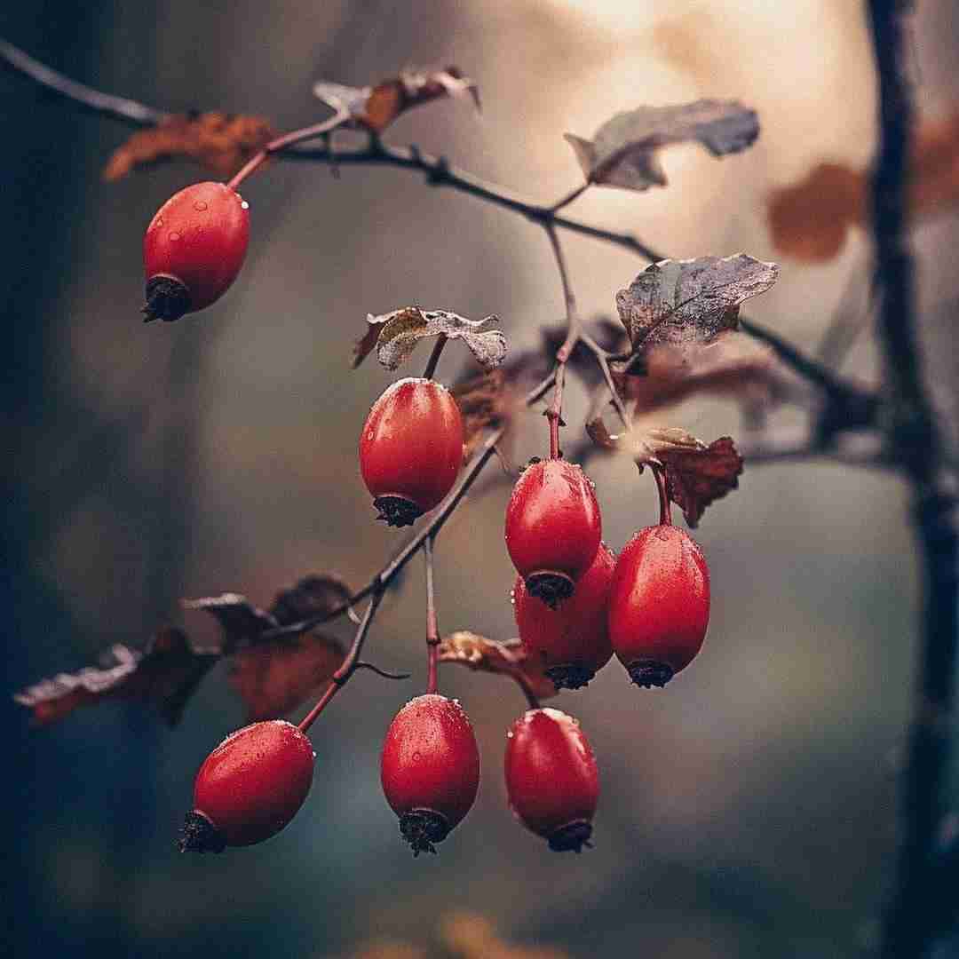 دیگه تنها تر از این نمیشه باشم میدونی با صدای پسر اینستایی