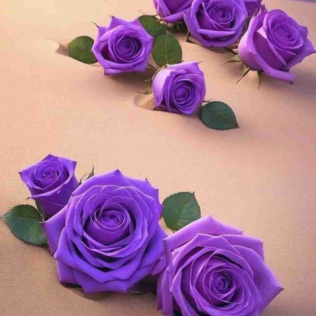  له ئاوی غه‌ریبی دل ناده‌م من که‌سیکی