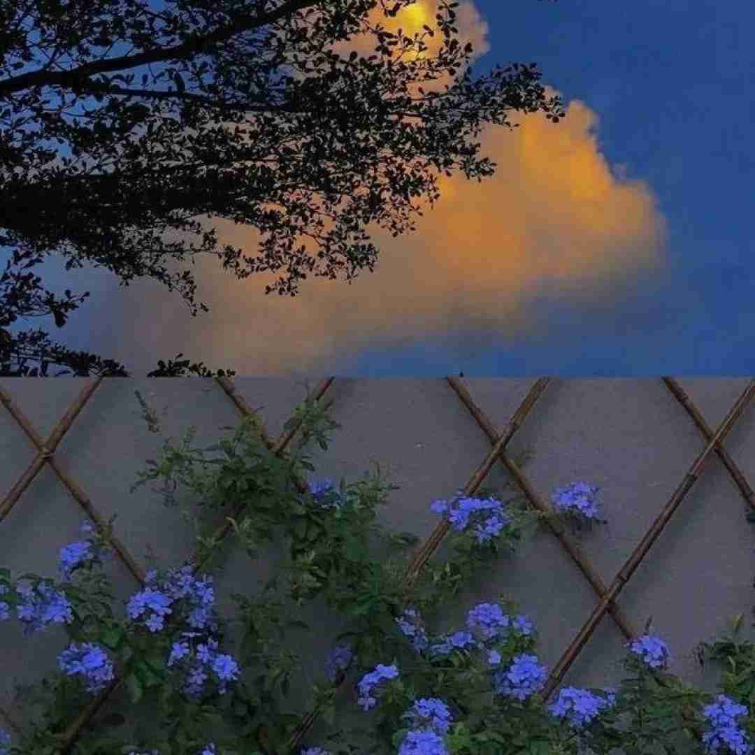 کجا ری بیارم الان یه سال و یه ماه و یه روزه دلتنگتم