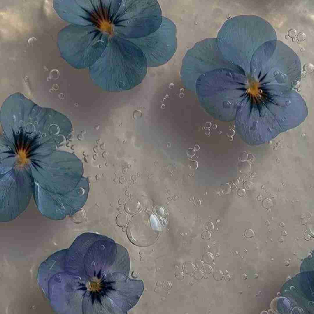 دلم گیره گیره عشقته نباشی میمیره