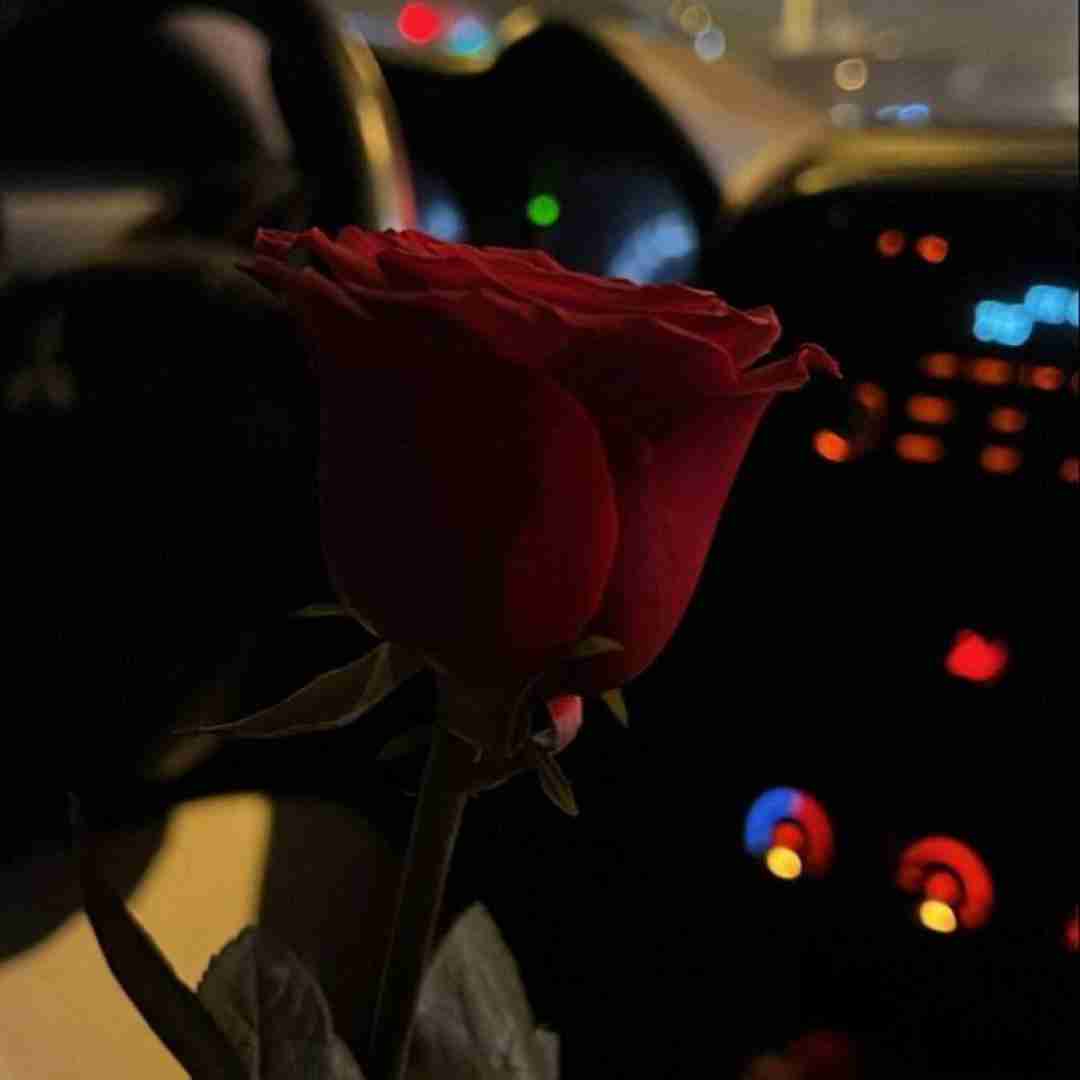  جدید بود نبود عجیب بود نبود اینستایی