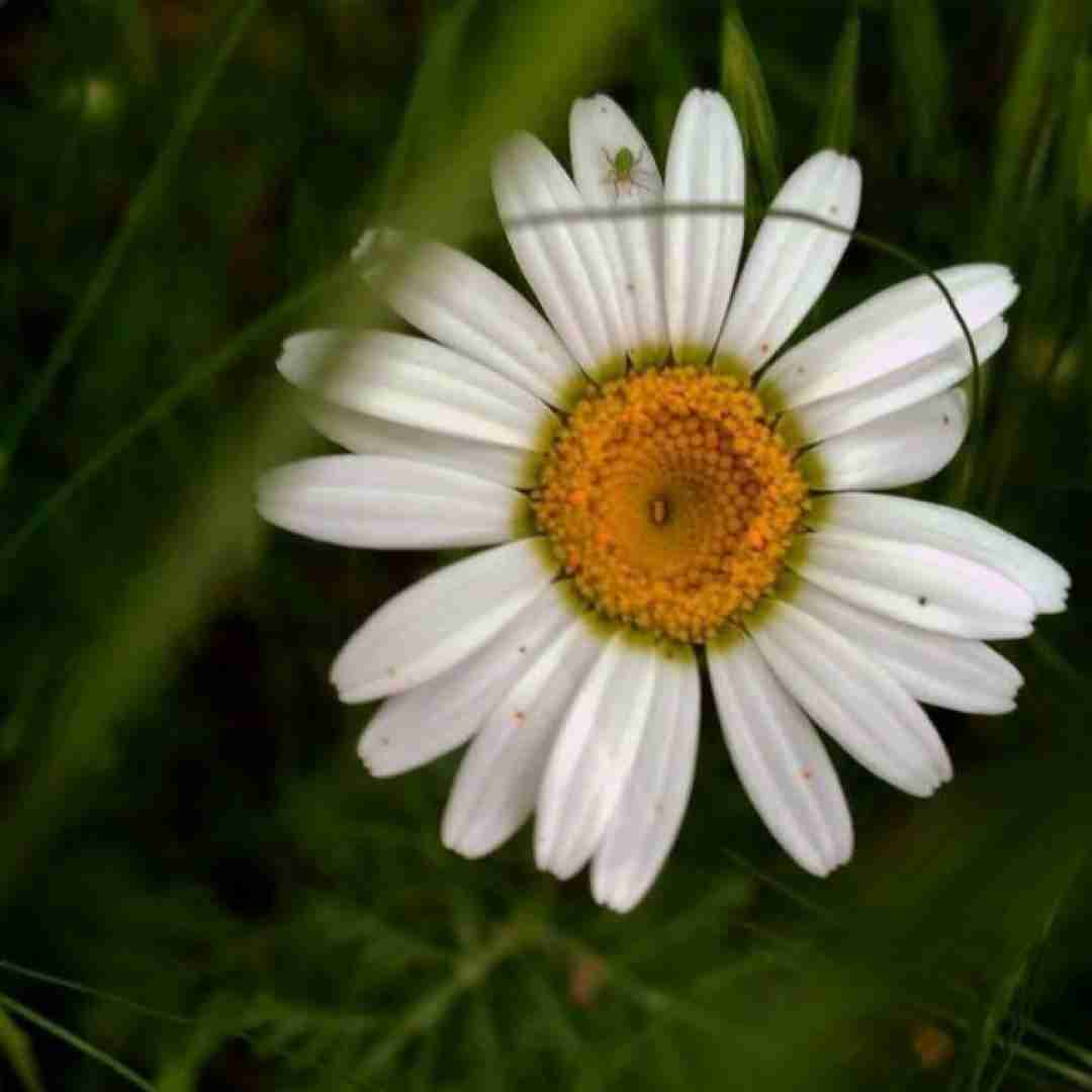 کجا باید برم زیر تیر چراغ برق یک صبر مونده ازت