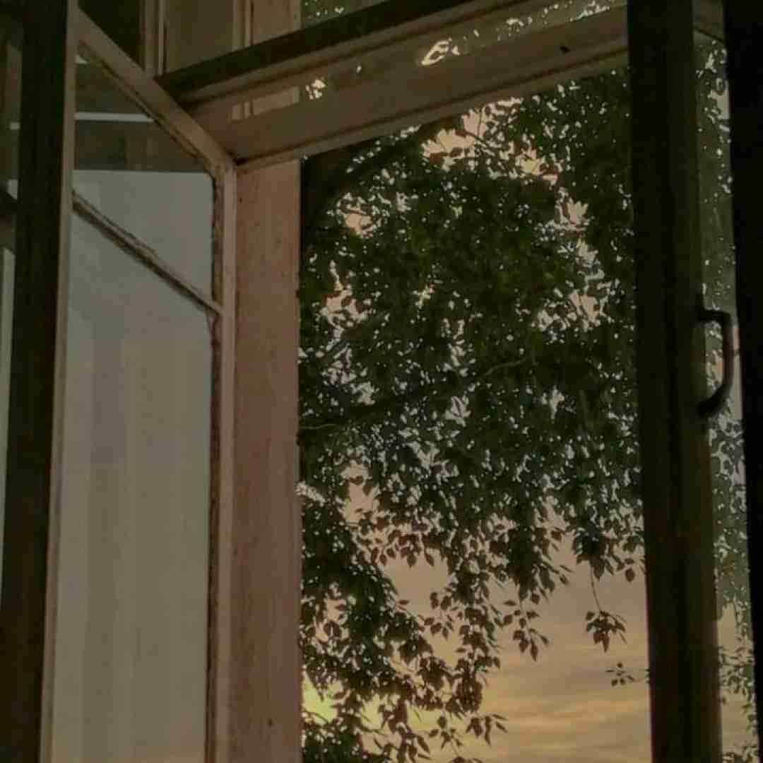  دعوا جرو بحث هی میکنه لج زد تو خاکی با یه آدم بد