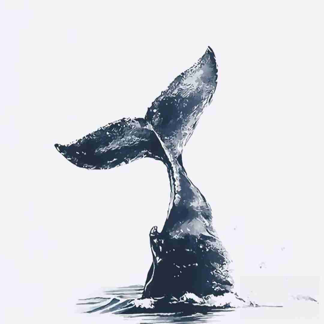  دیگه نمیشه حاله من رو به راه بعده تو