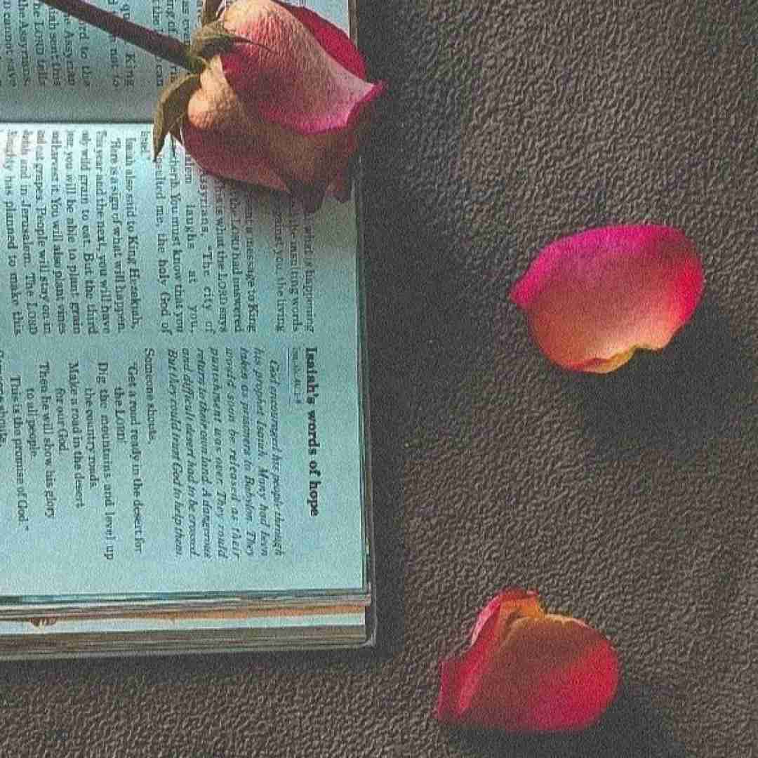 دیگه چشات نمیخنده غرق شدی تو چشی که نگات نمیکردش