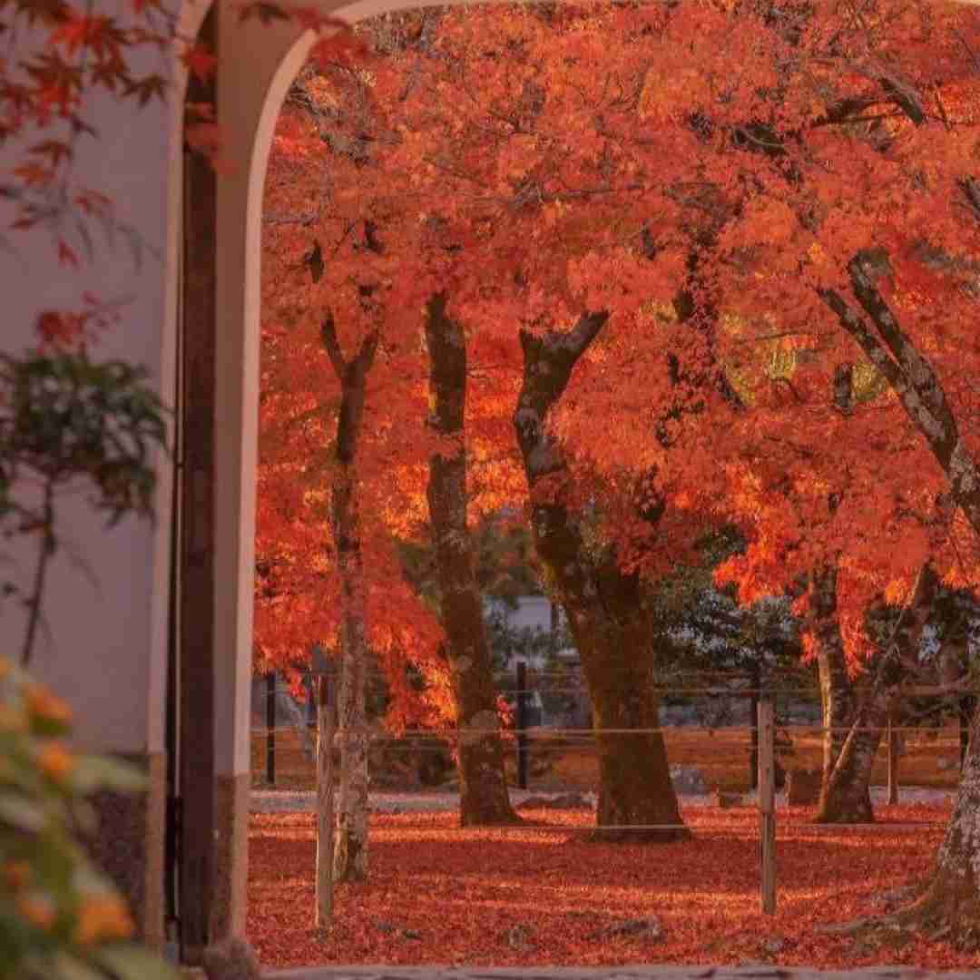 دلم تنگه یه زنگته حق بده اگه راه داره برگرد بیا