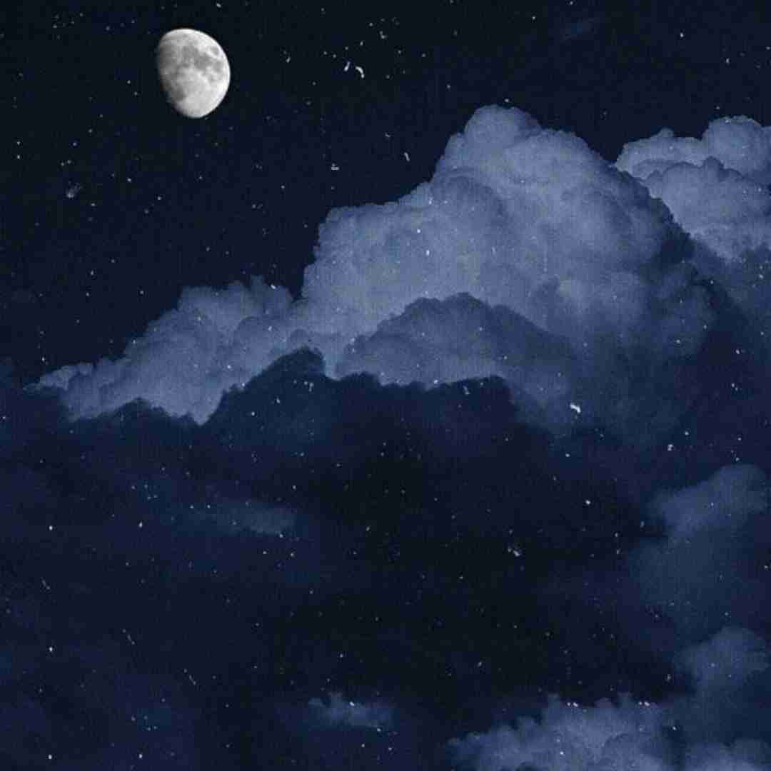  دوست داشتم اندازه کاردم بچ شمارتو حفظ بودم