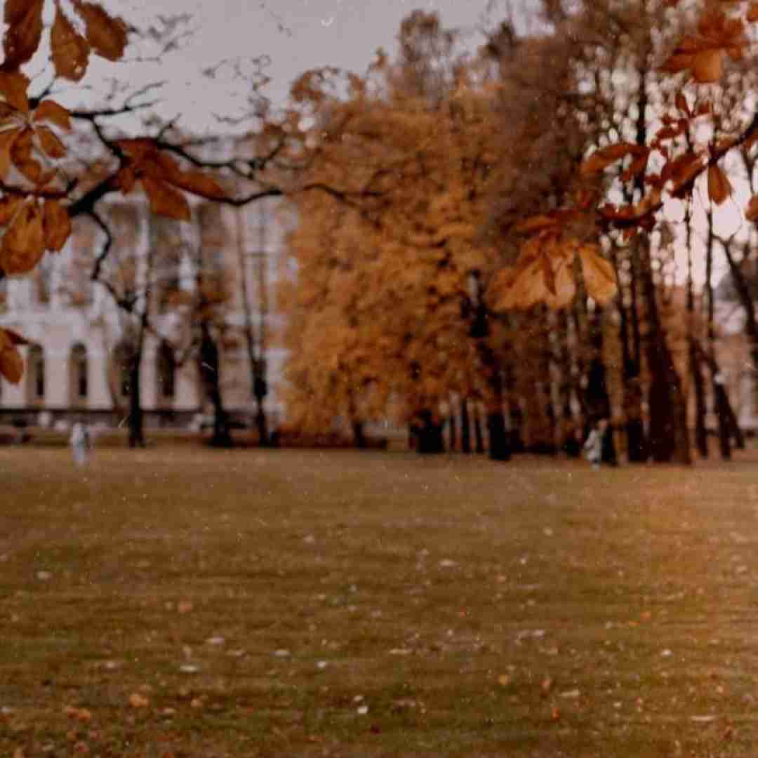  بعد تو من خنده رو کردم دیلیت حال بدم اشک میشد