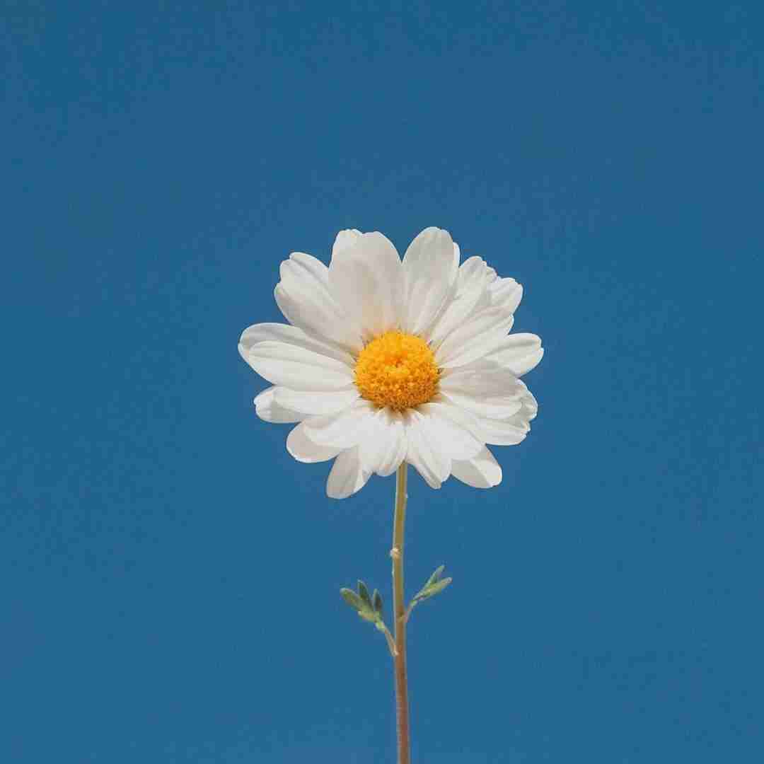  لعنت به اون که الان ماهته لعنت به تو با صدای دختر اینستایی