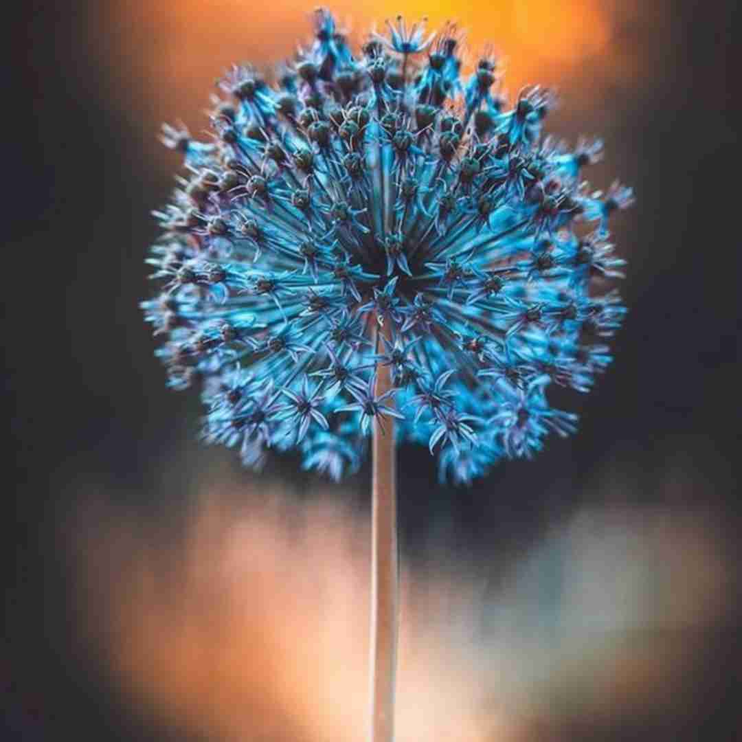  تملی حبیبی بشتاق لک تملی عینه تنده لک با صدای دختر