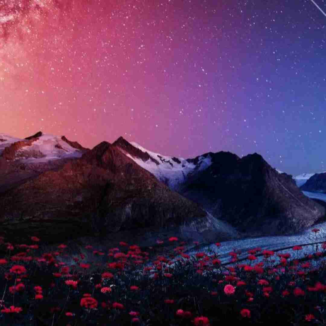 نفس تو ارام واجب تر و نمازی نیستی با خودشم این بچه لجه