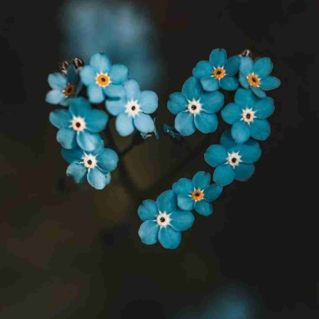دوستات دنبال مونن پیچ دادم جاده رو سمت خونم