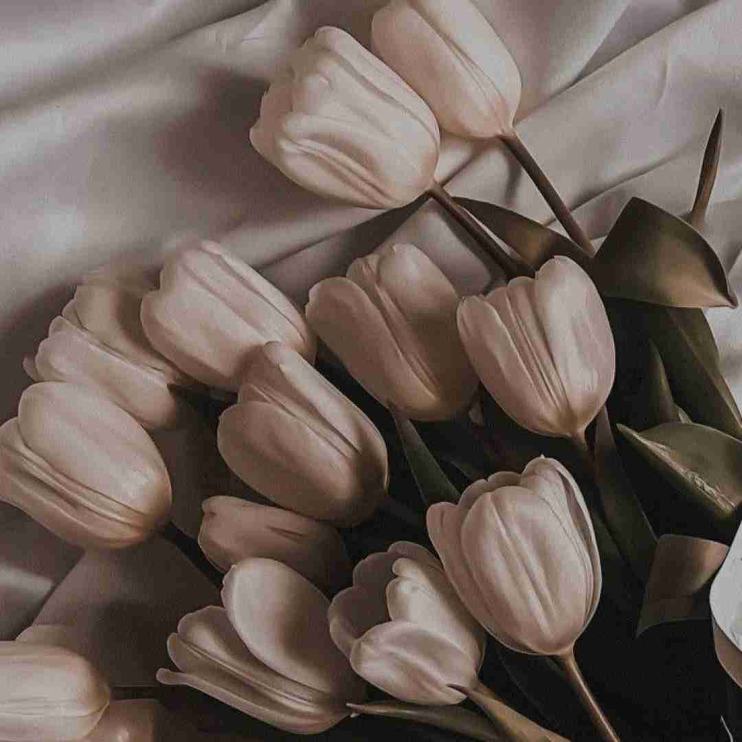  پنجشنبه و سلام مفتون دوگانه مست محلی