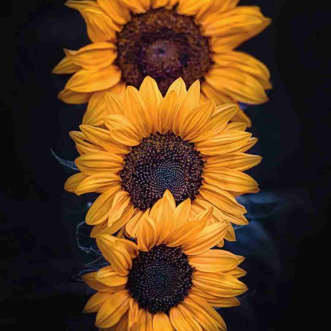 حالم دیگه به تو ربطی نداره چون رفتی برای من چی موند
