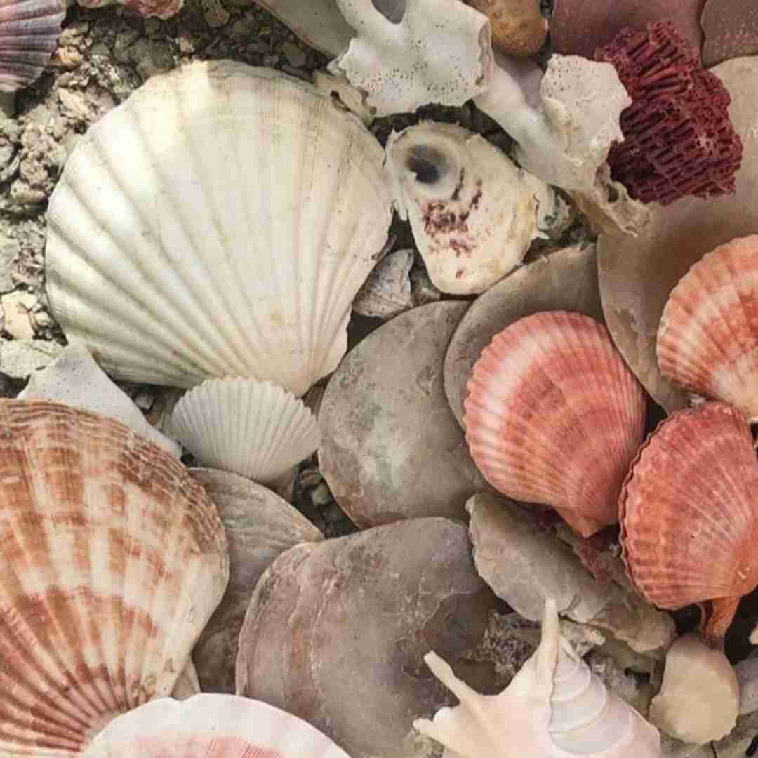  فراموشم کردی دل نیای دل بردی برگرد ببین حالو روزمو روحم آروم بود