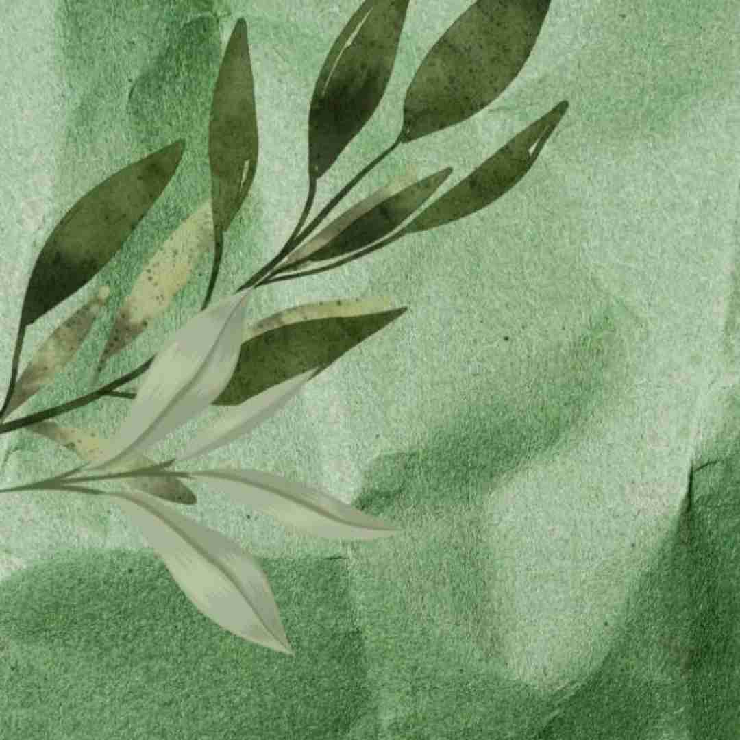  به یارم بگید خوب من محبوب من با صدای زن
