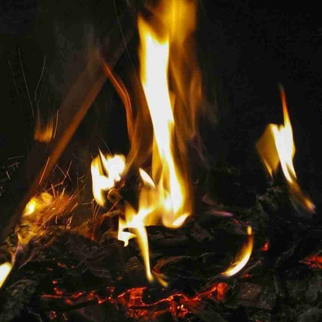 دشی جغد شوم کوچمون دیگه روی شونه ی منه